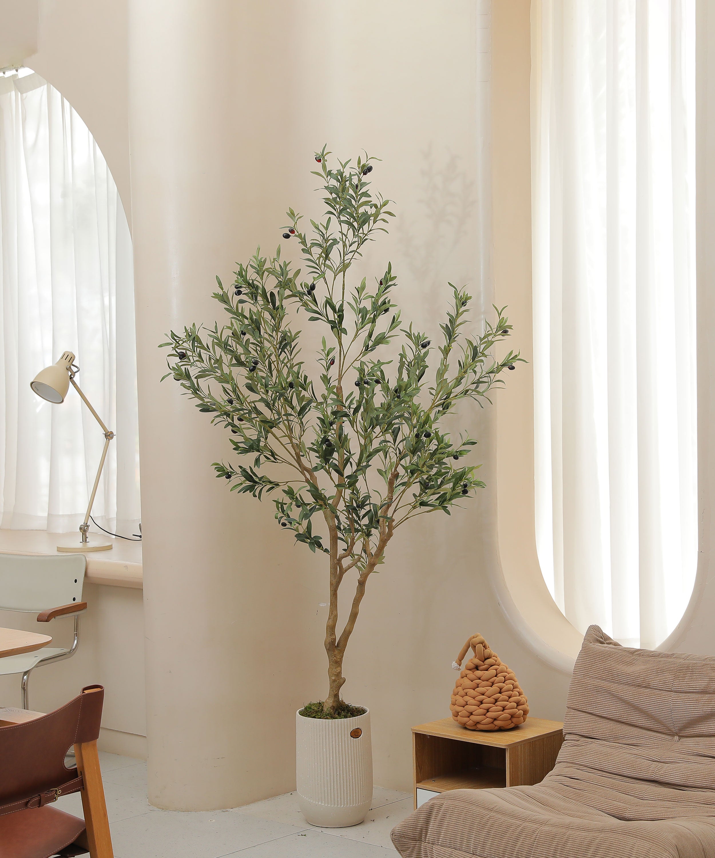 7ft olive tree branch